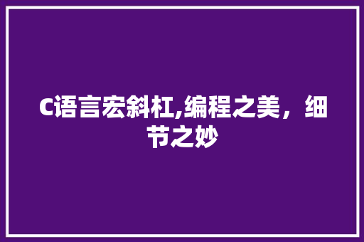 C语言宏斜杠,编程之美，细节之妙