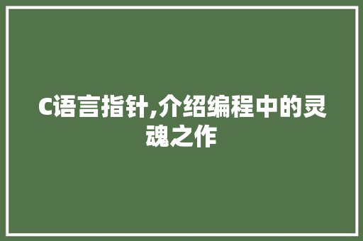 C语言指针,介绍编程中的灵魂之作