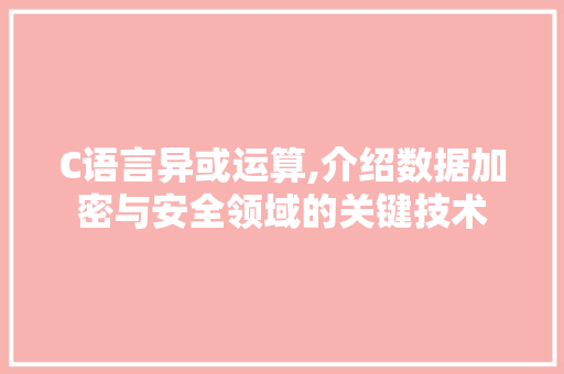 C语言异或运算,介绍数据加密与安全领域的关键技术