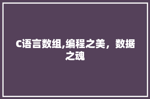 C语言数组,编程之美，数据之魂 网站建设公司