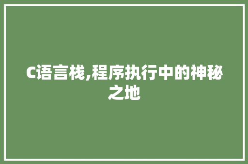 C语言栈,程序执行中的神秘之地 百度SEO