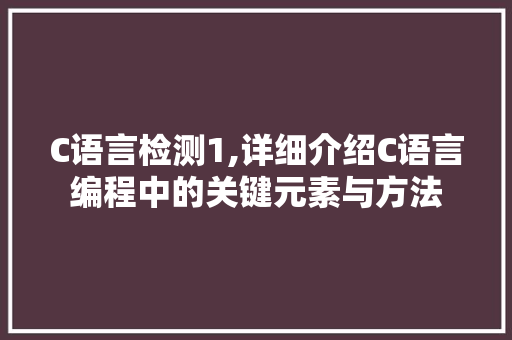 C语言检测1,详细介绍C语言编程中的关键元素与方法
