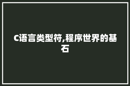 C语言类型符,程序世界的基石 百度SEO