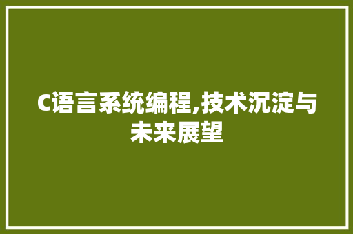 C语言系统编程,技术沉淀与未来展望