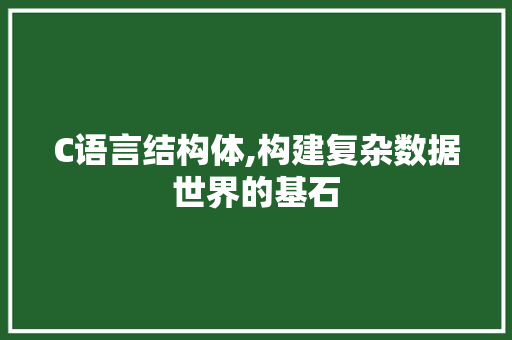 C语言结构体,构建复杂数据世界的基石