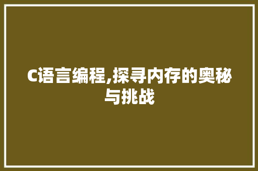 C语言编程,探寻内存的奥秘与挑战