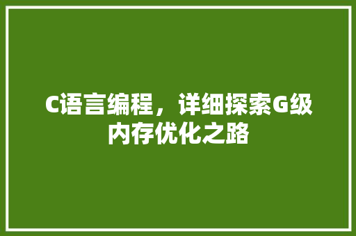 C语言编程，详细探索G级内存优化之路