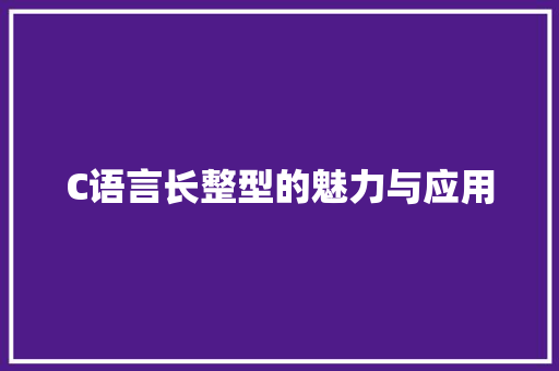 C语言长整型的魅力与应用