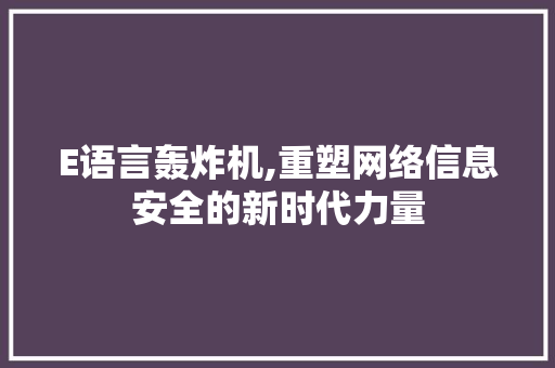 E语言轰炸机,重塑网络信息安全的新时代力量