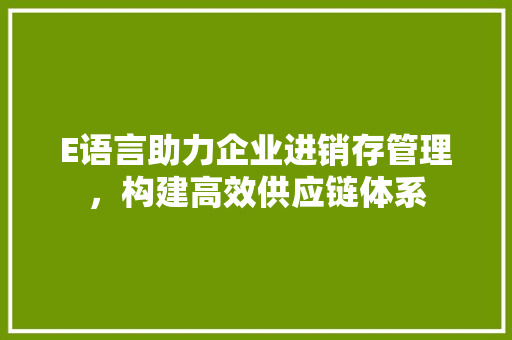 E语言助力企业进销存管理，构建高效供应链体系 百度SEO