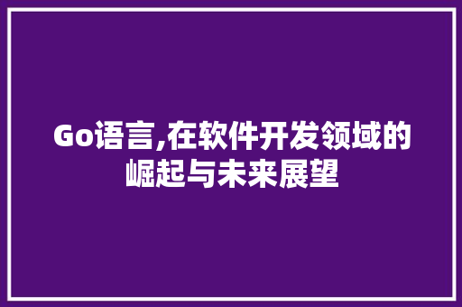 Go语言,在软件开发领域的崛起与未来展望
