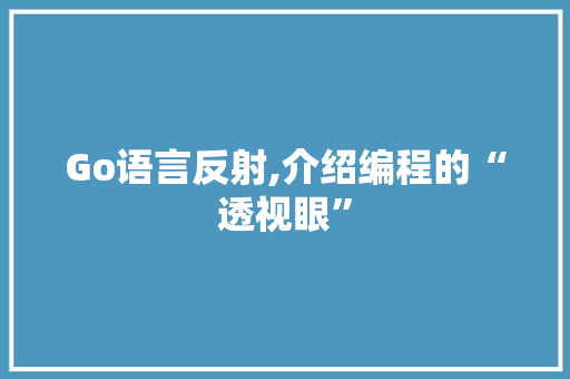 Go语言反射,介绍编程的“透视眼” 必应SEO