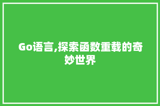 Go语言,探索函数重载的奇妙世界 网站建设公司