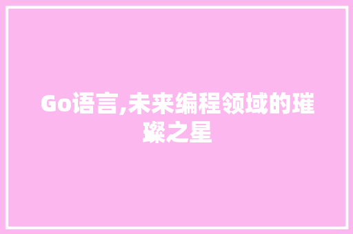 Go语言,未来编程领域的璀璨之星