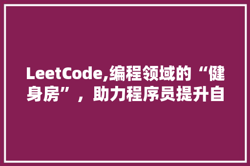LeetCode,编程领域的“健身房”，助力程序员提升自我