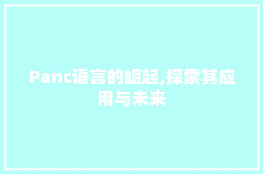 Panc语言的崛起,探索其应用与未来
