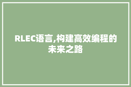 RLEC语言,构建高效编程的未来之路 百度SEO