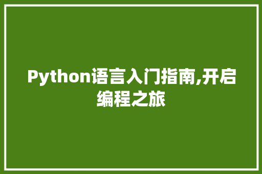 Python语言入门指南,开启编程之旅