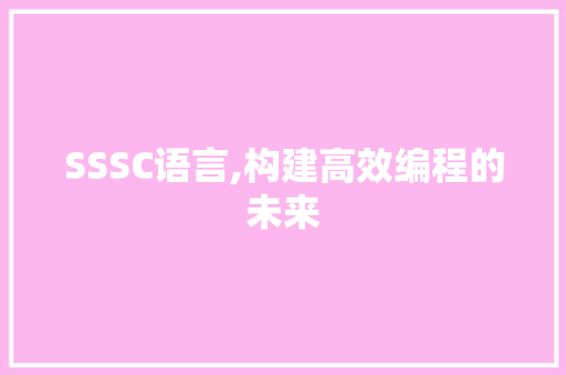 SSSC语言,构建高效编程的未来