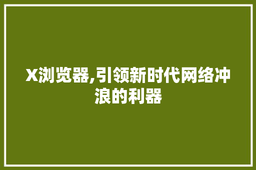 X浏览器,引领新时代网络冲浪的利器