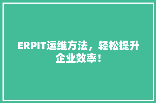 ERPIT运维方法，轻松提升企业效率！ 必应SEO