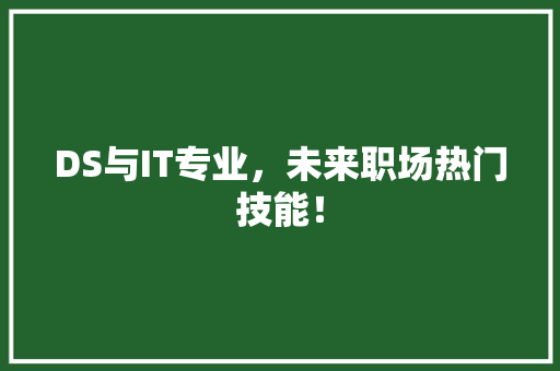 DS与IT专业，未来职场热门技能！ SEO关键词