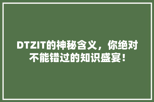 DTZIT的神秘含义，你绝对不能错过的知识盛宴！ 网站建设公司
