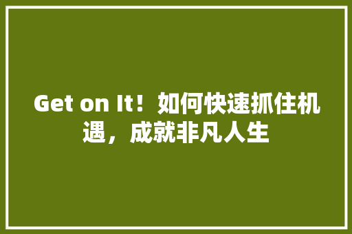 Get on It！如何快速抓住机遇，成就非凡人生 百度SEO