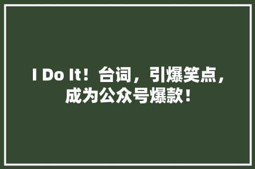 I Do It！台词，引爆笑点，成为公众号爆款！ SEO关键词