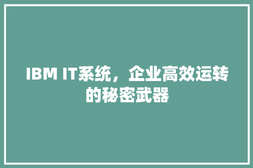 IBM IT系统，企业高效运转的秘密武器 神马SEO