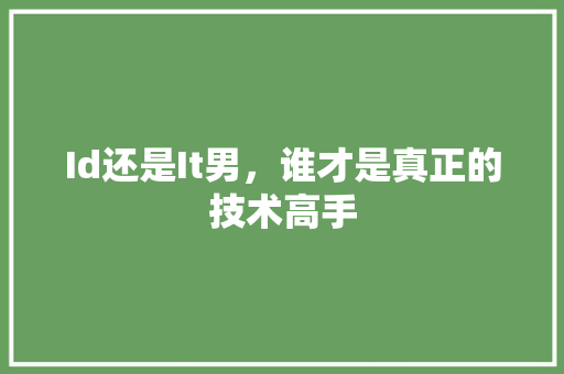Id还是It男，谁才是真正的技术高手 百度SEO