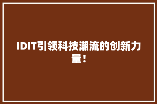 IDIT引领科技潮流的创新力量！ 百度SEO