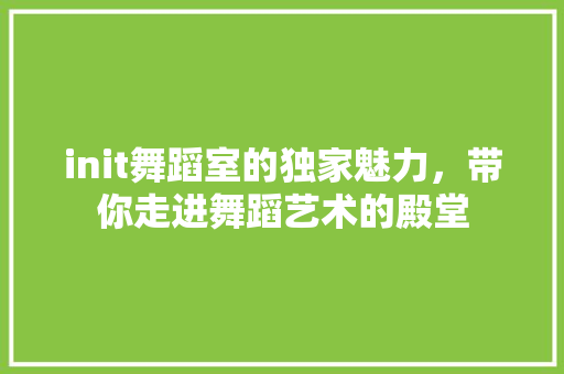 init舞蹈室的独家魅力，带你走进舞蹈艺术的殿堂 网站建设公司