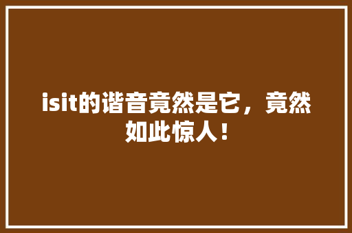 isit的谐音竟然是它，竟然如此惊人！ 必应SEO