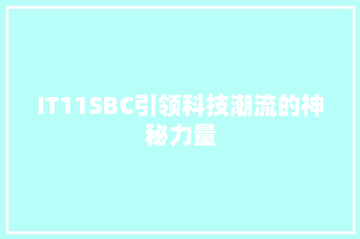 IT11SBC引领科技潮流的神秘力量 SEO关键词