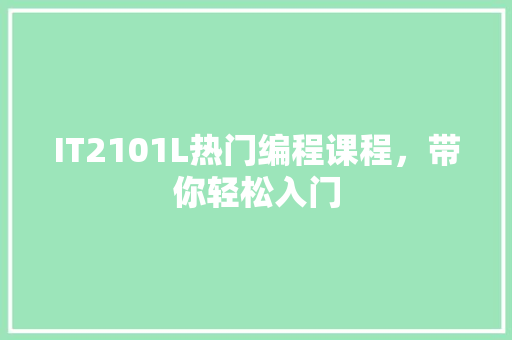 IT2101L热门编程课程，带你轻松入门