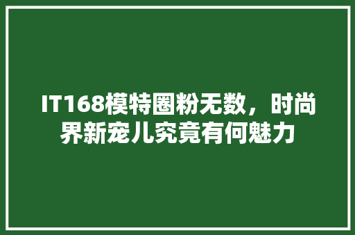 IT168模特圈粉无数，时尚界新宠儿究竟有何魅力 网站建设公司