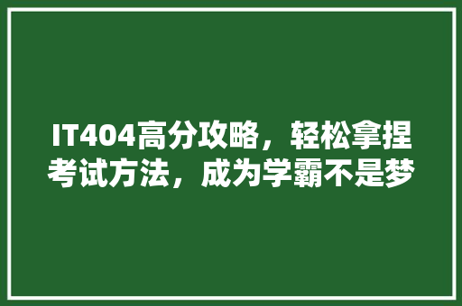 IT404高分攻略，轻松拿捏考试方法，成为学霸不是梦！ 百度SEO