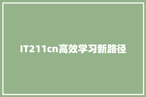 IT211cn高效学习新路径 百度SEO