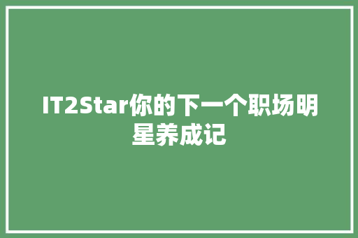 IT2Star你的下一个职场明星养成记 神马SEO