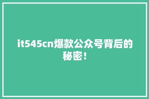 it545cn爆款公众号背后的秘密！ 必应SEO