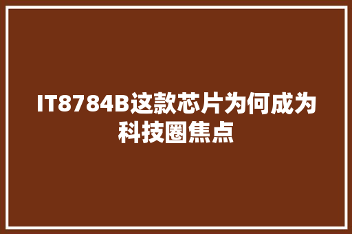 IT8784B这款芯片为何成为科技圈焦点 网站建设公司