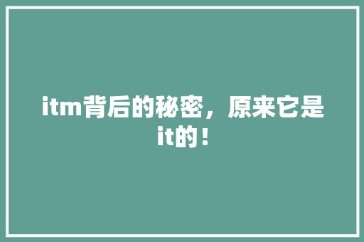 itm背后的秘密，原来它是it的！ 神马SEO