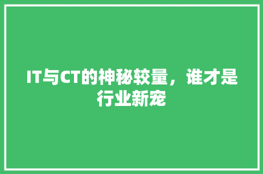 IT与CT的神秘较量，谁才是行业新宠 百度SEO
