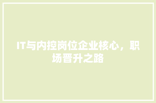 IT与内控岗位企业核心，职场晋升之路 神马SEO