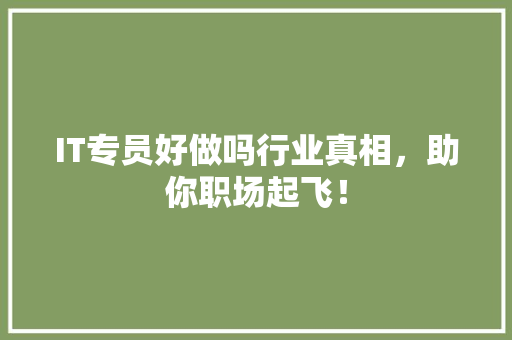 IT专员好做吗行业真相，助你职场起飞！ 搜狗SEO