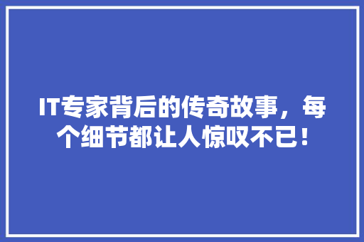 IT专家背后的传奇故事，每个细节都让人惊叹不已！ 百度SEO