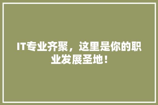 IT专业齐聚，这里是你的职业发展圣地！ 百度SEO