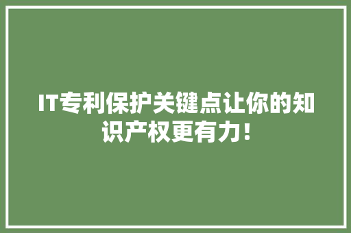 IT专利保护关键点让你的知识产权更有力！