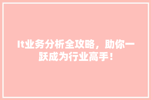 It业务分析全攻略，助你一跃成为行业高手！ 网站建设公司